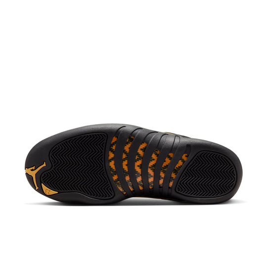 Air Jordan 12 Retro 'Black Taxi' CT8013-071