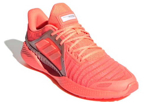 Buy Climacool Vent Summer.Rdy 'Signal Coral' - EE4639