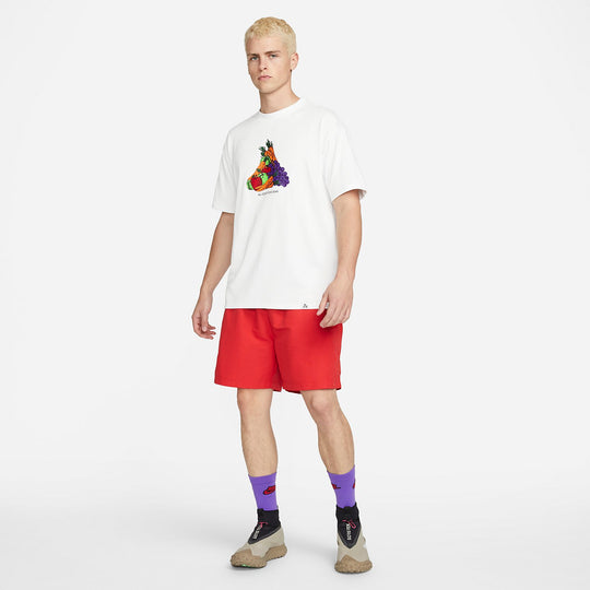 Nike ACG Fruits Vegetable Logo Tee 'Summit White' DQ4954-121-KICKS CREW