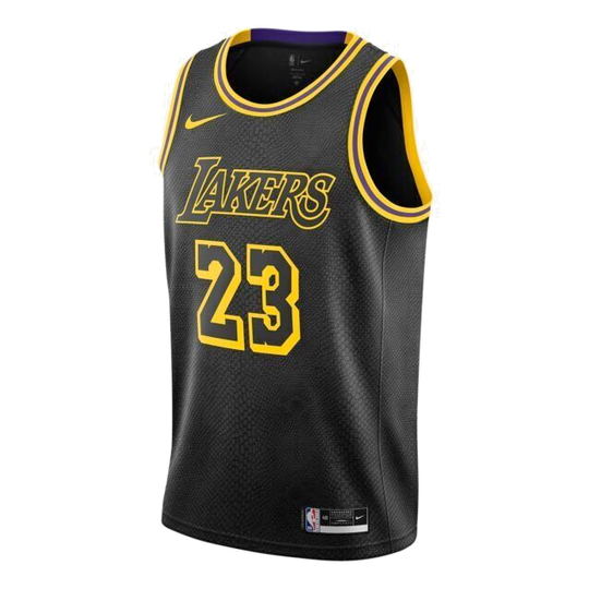 Nike Casual Sports Basketball Jersey/Vest Los Angeles Lakers LeBron Ja ...