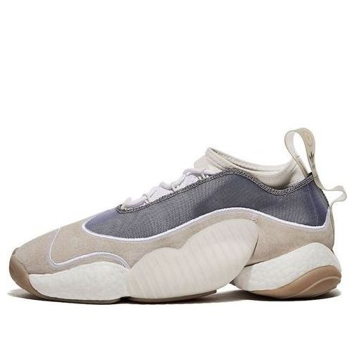 Bristol crazy hot sale byw lvl ii