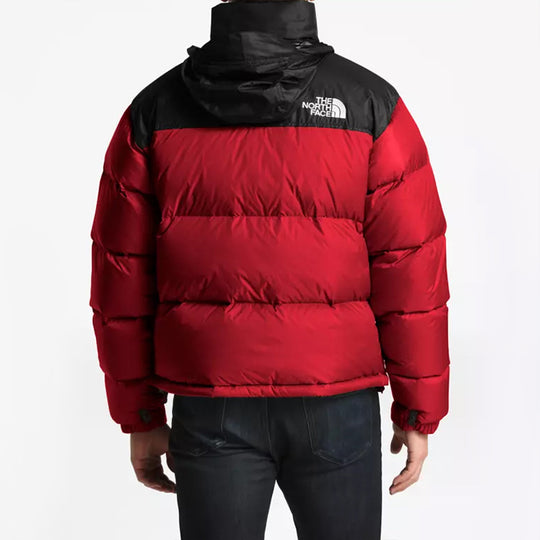 THE NORTH FACE Nuptse Jacket 700 NF0A3C8D682 - KICKS CREW