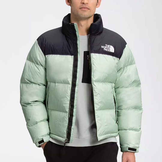 Novelty nuptse deals down jacket