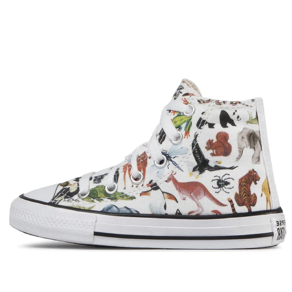 Converse Chuck Taylor All Star 668461F - KICKS CREW