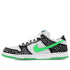 Nike Dunk Low Premium SB 'Loon' 313170-011 - KICKS CREW