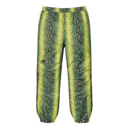 Supreme SS18 The North Face Snakeskin Taped Seam Pant Green SUP-SS18-3