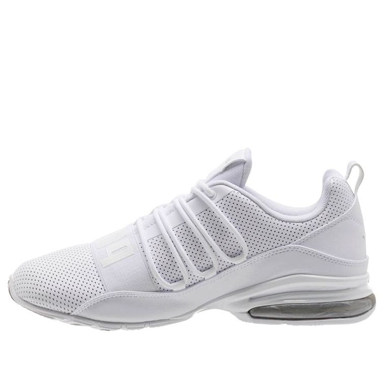 Puma cell clearance regulate white