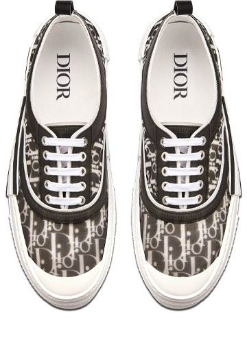 Dior B23 Low Oblique Canvas